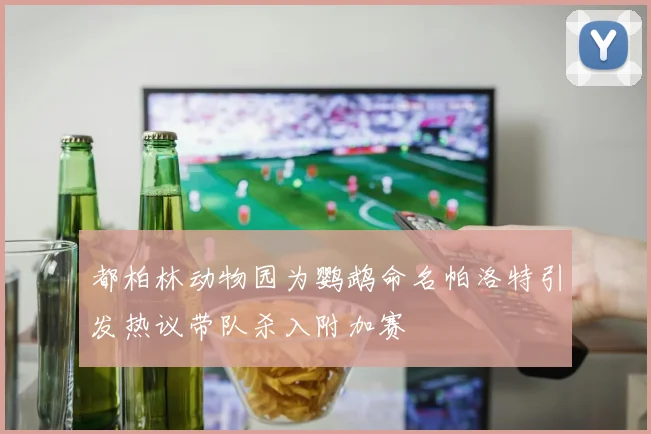 都柏林动物园为鹦鹉命名帕洛特引发热议带队杀入附加赛