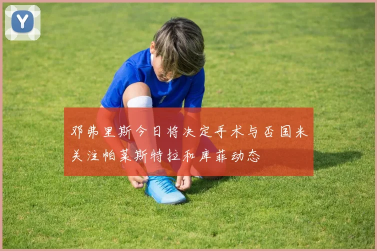 邓弗里斯今日将决定手术与否国米关注帕莱斯特拉和库菲动态